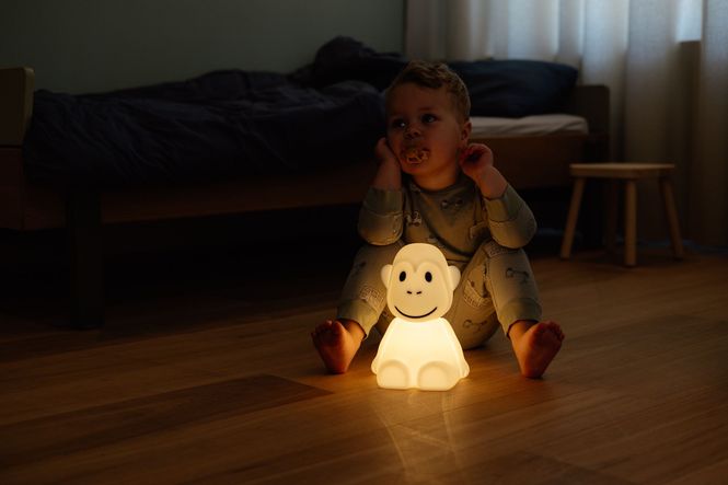Hovedbilde Mr Maria - Monkey First Light
